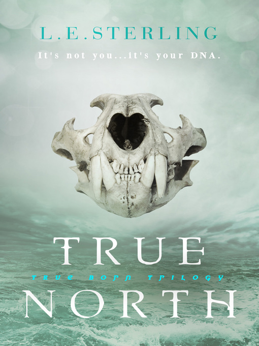 Title details for True North by L.E. Sterling - Wait list